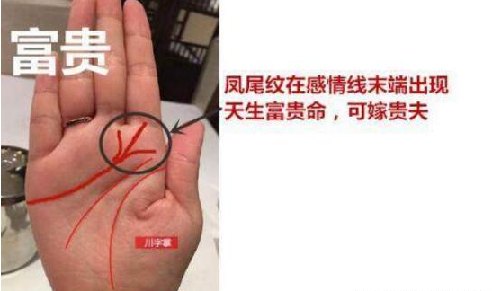 手有“凤尾纹”的女人，天生富贵命，必嫁贵夫，注定一生衣食无忧