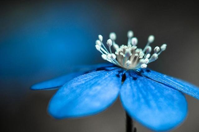 判断一个女人是否爱干净，看她家里这3个地方就够了，藏不住的