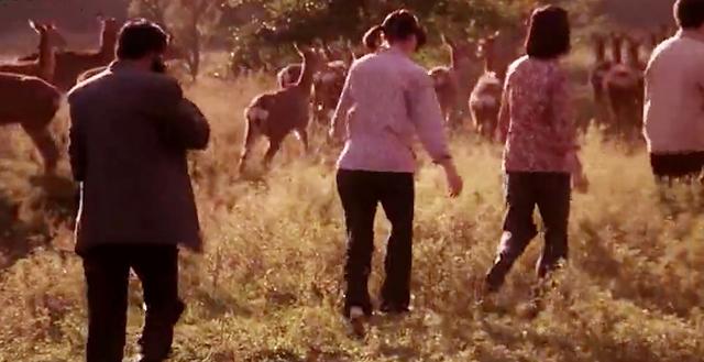 苦命女人年轻丧夫,因长得漂亮被三个男人看上,却选了个穷小子