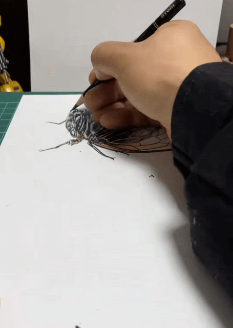 3D绘画牛人多厉害？画出真假难辨的“立体美女”，震惊500万网友