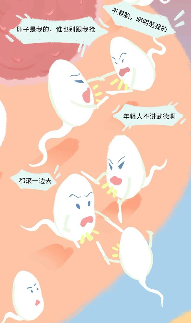 女人是如何怀孕的？全过程图曝光！
