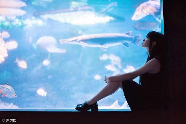 你有梦过捡钱或掉牙吗?