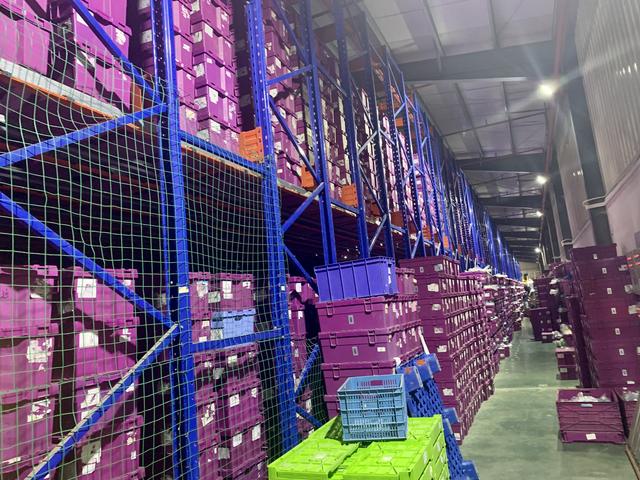 百亿积木市场澄海占一半，“玩具之都”能否跑出中国乐高｜小城故事