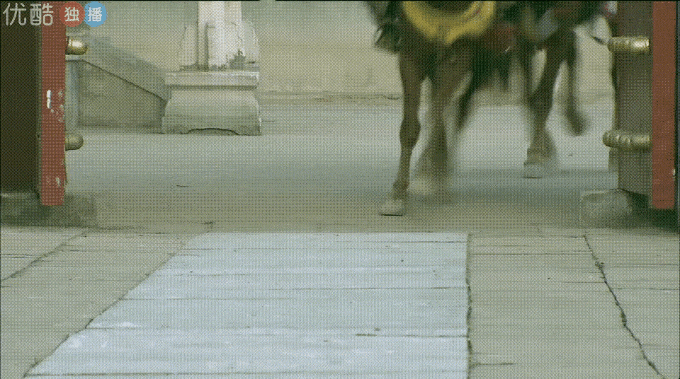 16位女明星骑马大PK！小枫唯美、刘涛好酷、左大玢最让人意外