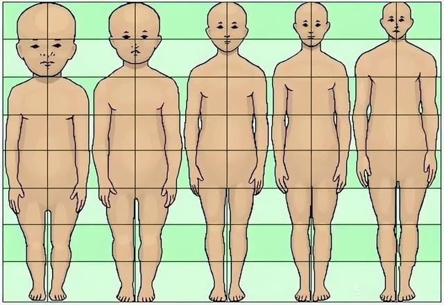 与动物相比，为什么人类女性生孩子如此困难？