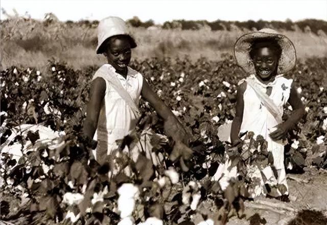 非洲女孩巴特曼因有巨臀,一生被赤身裸体展览,死后还被做成标本