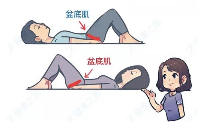 啪啪啪多了那里真的会变松吗？真相其实是