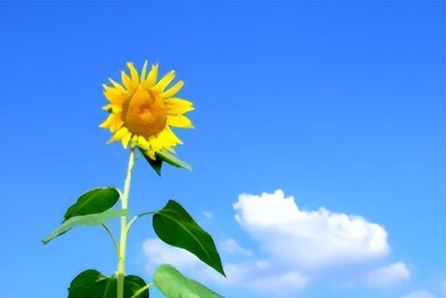 判断一个女人是否爱干净，看她家里这3个地方就够了，藏不住的