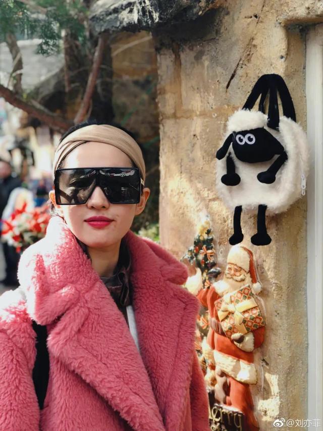 刘亦菲“内衣照”被骂上热搜：她的胸，碍了谁的眼？