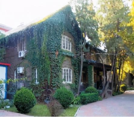 协和大院的三位“大医女神”