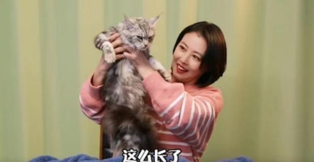 人美心善！港知名女星晒万尺豪宅再添新宠，独居北京不婚不生