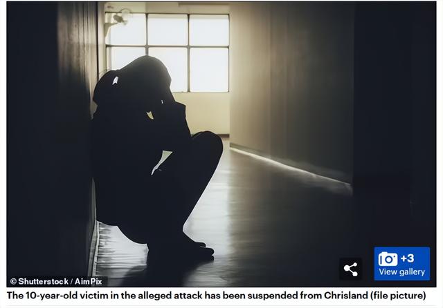 尼日利亚一母亲在网上看视频，发现10岁女儿“被同学轮奸”