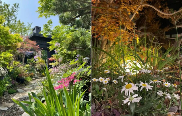 时隔8年，他凭啥再度“封神”？