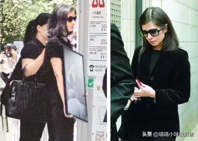 香港9大风情美女排行榜,叶子楣第9,邱淑贞第6,舒淇第3