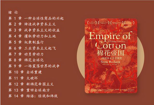 找茬游戏：今天轮到棉花了？