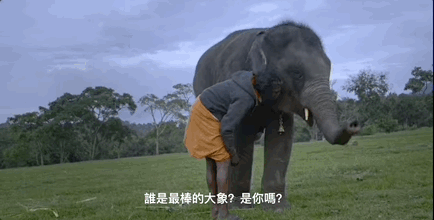 华人之光！全网刷屏的奥斯卡影后，但我只能为杨紫琼高兴5分钟