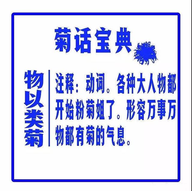 101个女生，只有菊爆了