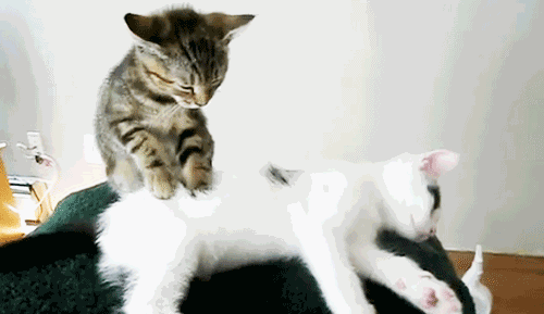 当二十不惑遇上肿瘤！这种病越来越“青睐”年轻女性了