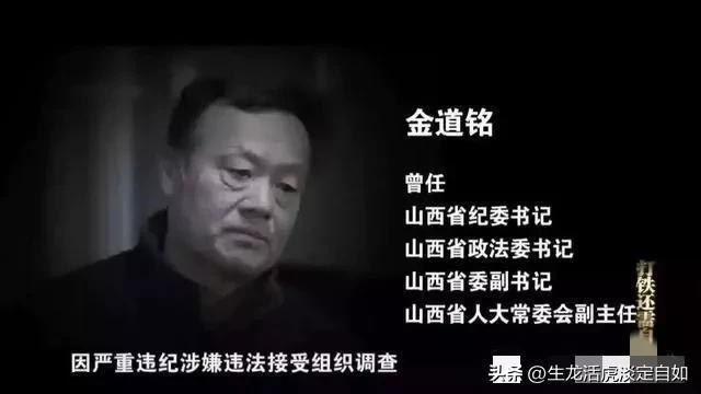 美女市长跟42个男人有染，贪污受贿1400多万，被捕时跪地痛哭。