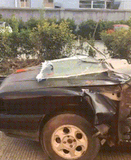 超级搞笑gif动图美女动物笑图10张