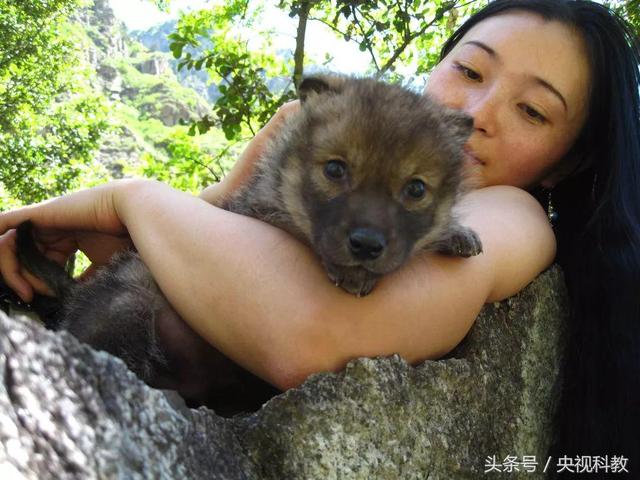 一位女画家的人狼情缘
