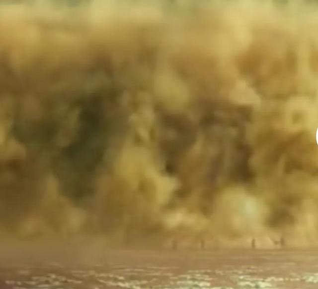 惊悚！深挖“跪地求水”真实原因，竟牵出惊人内幕，网友水太深