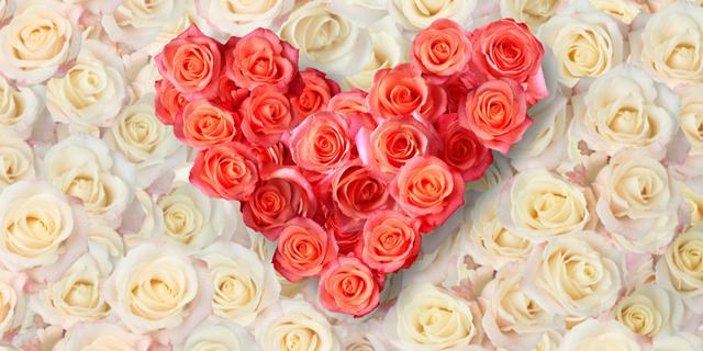 认识“性冷淡”