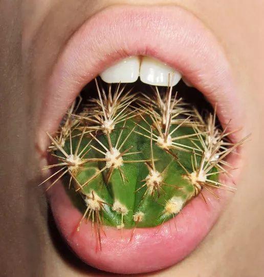 有点诱惑！外国美女设计师拍的“人体”艺术，够大胆，脑洞大开