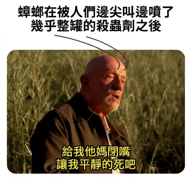 每日搞笑：男生也可以鸭子坐吗？