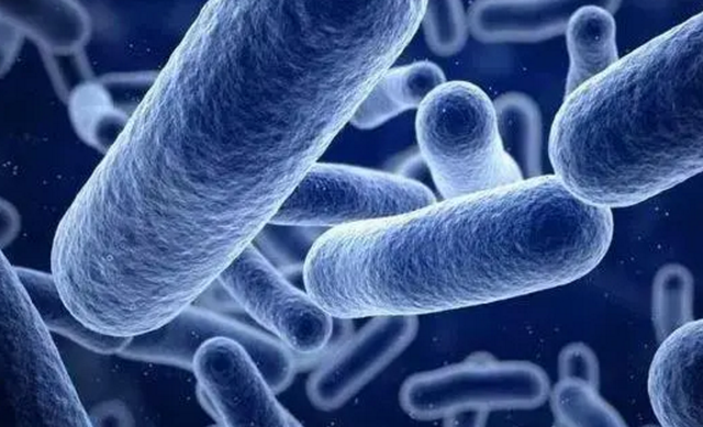 女性的内裤有分泌物，是怎么回事？别害羞，这些异常尽早了解