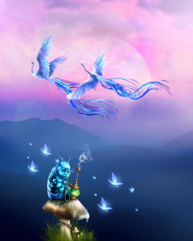 流量岁月里最美的一百首诗歌,献给擦肩而去的2020