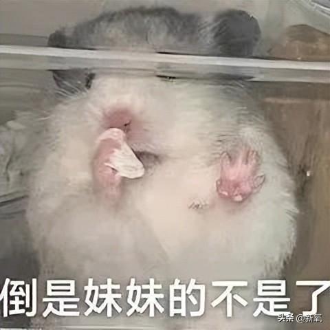 坐拥100万粉丝的美少女,直播间点赞量高达1亿,实力如何?