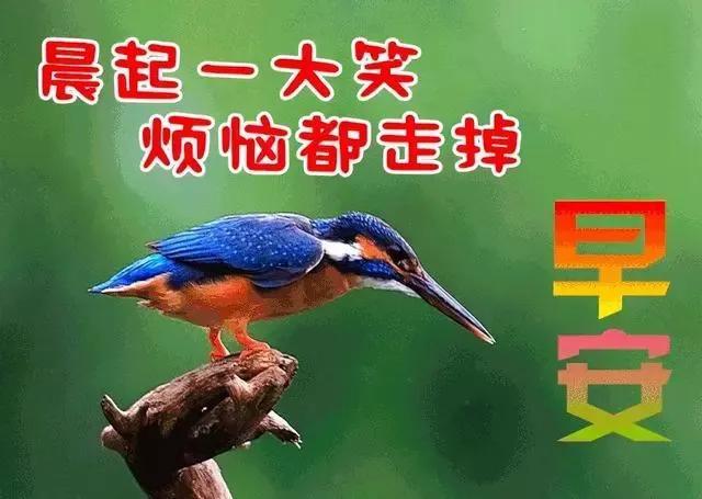 早安图文分享：微笑一下给自己加油打气
