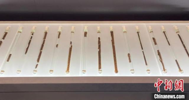 东西问·镇馆之宝丨彭梅:因《狂飙》再火的《孙子兵法》为何被译为“战争的艺术”?