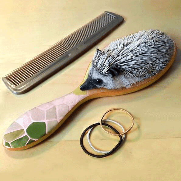 有点诱惑！外国美女设计师拍的“人体”艺术，够大胆，脑洞大开