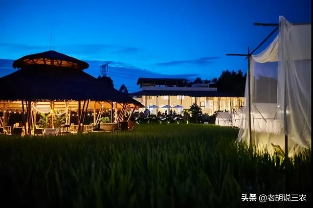 颜值时代，能够火的不单单只有美女，农场靠颜值也能火