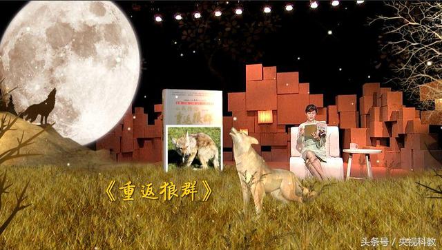 一位女画家的人狼情缘