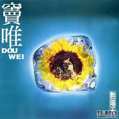 著名摄影师高原：从王菲手里夺爱，与窦唯离婚后，现在情况怎样？