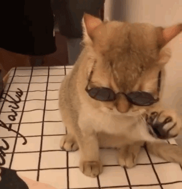 女生为什么也有那么多体毛啊?