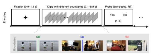 我刚才干了什么？研究发现：人体大脑两组神秘的神经元