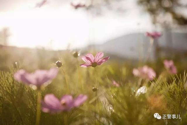 住手，放开那个姑娘