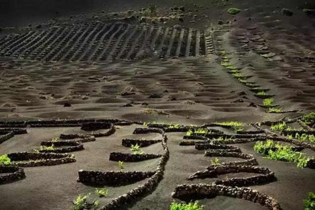 找出隐藏的少女,听说找到15个以上就是高智商!敢不敢试试?