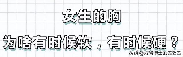 女生的胸，为什么忽软忽硬？（男生禁入）