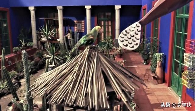 美艳女明星筹拍七年,被迫全裸出演,成就奥斯卡传奇女性电影