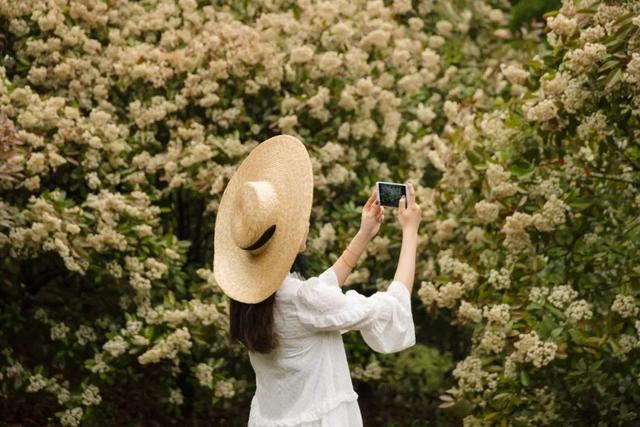 50岁的女人该有自知之明，男人愿意娶我，只有一种意图