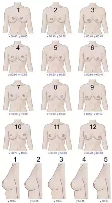 美沃斯早参0817｜最美乳头乳晕位置比例;O2O平台与百度营销对比