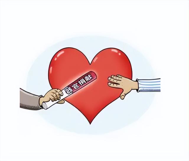 2015年,6岁女儿突发疾病死亡,父亲痛哭掀开白布:再让我看一眼