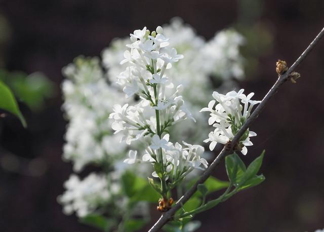 已婚女人出轨后，有以下五种表现