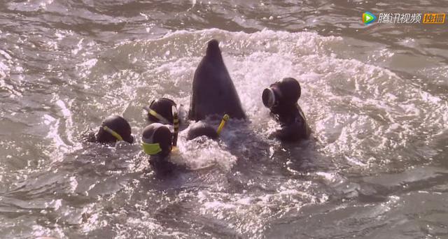 一位47岁美女的受虐实录