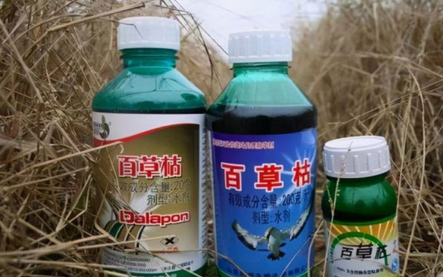 18岁女孩被姐夫投毒百草枯：婚姻最后的底线到底是什么？